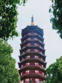 普陀山-寧波老友記：玩轉兩地不踩雷攻略。