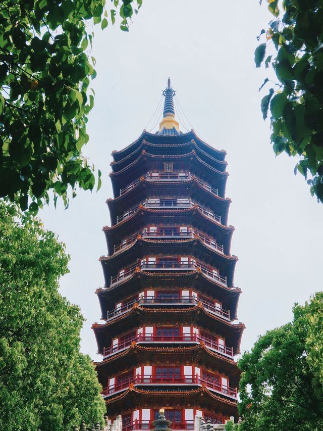 普陀山-寧波老友記：玩轉兩地不踩雷攻略。