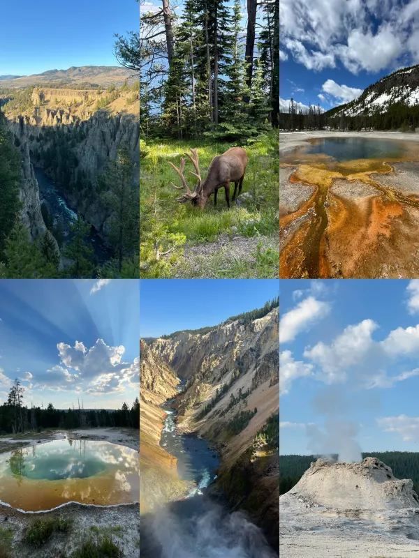 Top1 Yellowstone National Park Travel Guide is Here! [November Update]