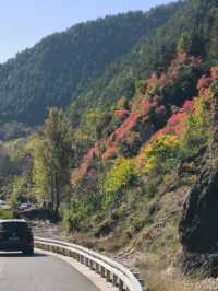 秦嶺峽口紅葉感受大自然的鬼斧神工