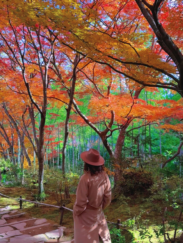 京都紅葉季最不能錯過的地方—常寂光寺