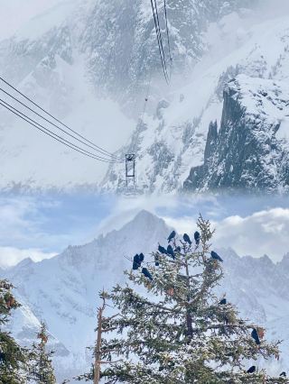 Lyon-Chamonix Glacier Adventure: Feel the Power of Nature