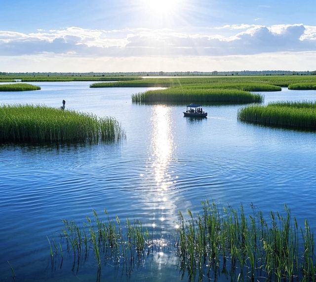 沙湖景區