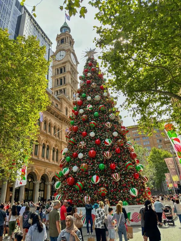 Sydney's Martin Place Hosts the Southern Hemisphere's Tallest Christmas Tree