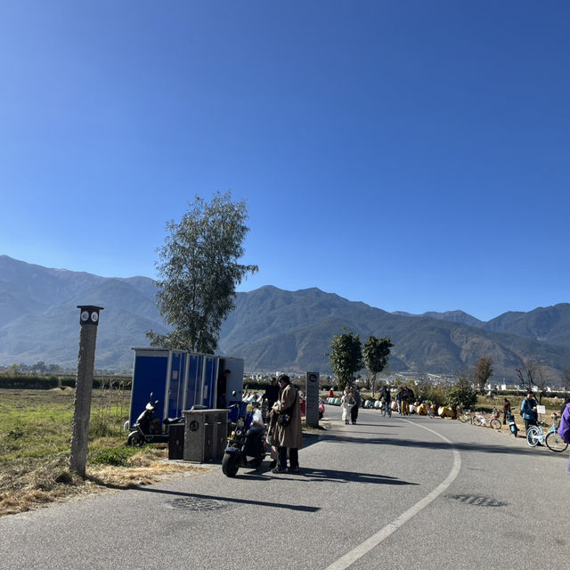 來一場治癒心靈的旅行