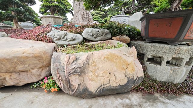陳村花卉世界銘園的小玩意