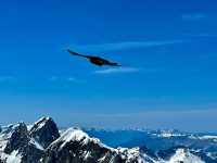 Explore the Majestic Titlis at 10,000 Feet