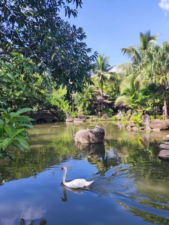 4일간의 보팅-싼야-링수이 여행 완벽 가이드