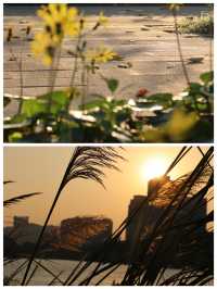 閩江公園休閒的好地方啊走一走開心