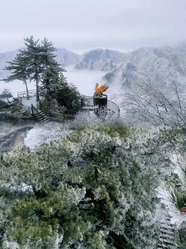 探索寶雞發現不一樣的美