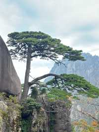 冬天要去安慶-黃山-杭州超詳細旅遊攻略來啦