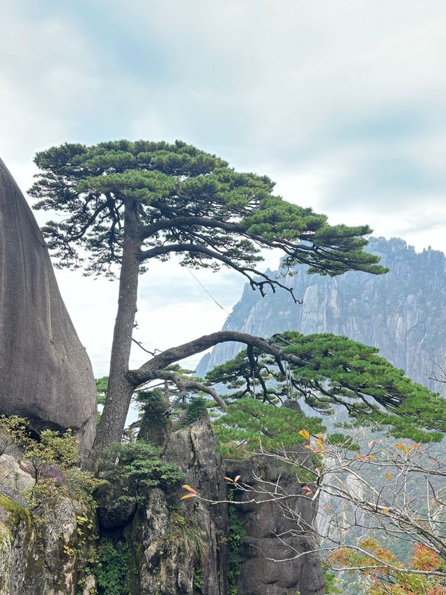 冬天要去安慶-黃山-杭州超詳細旅遊攻略來啦