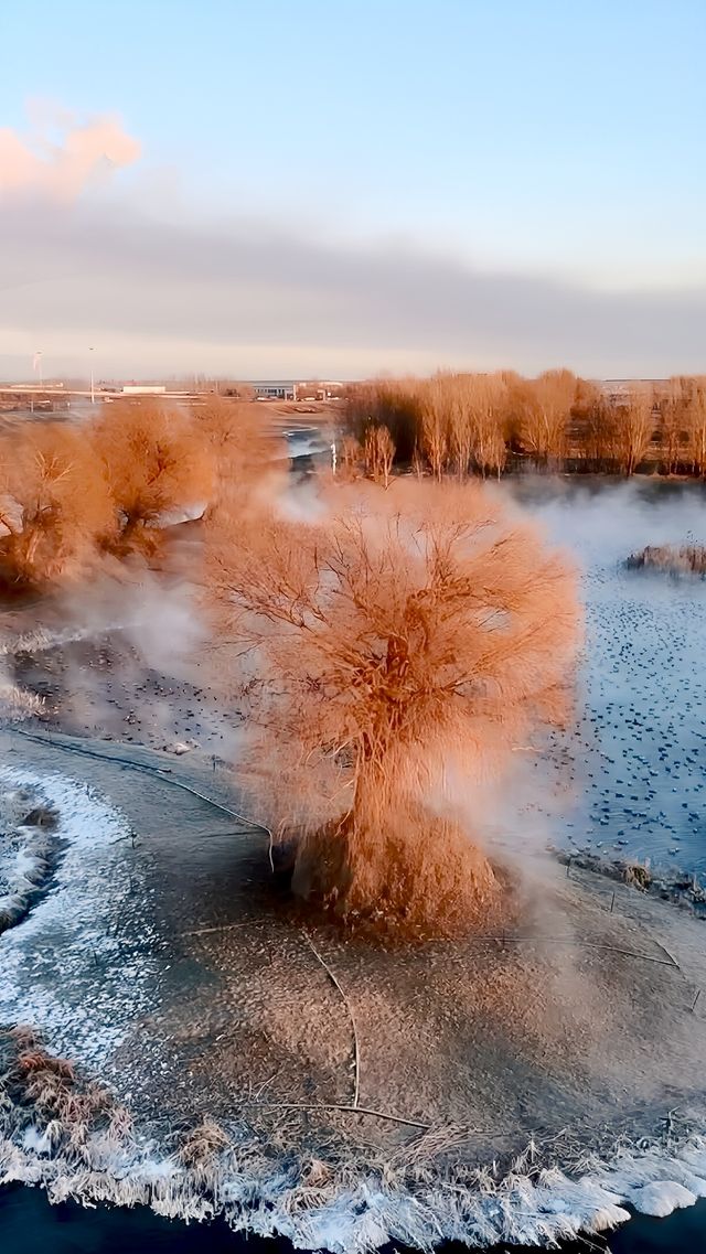 縱享青城，邂逅塞上風光