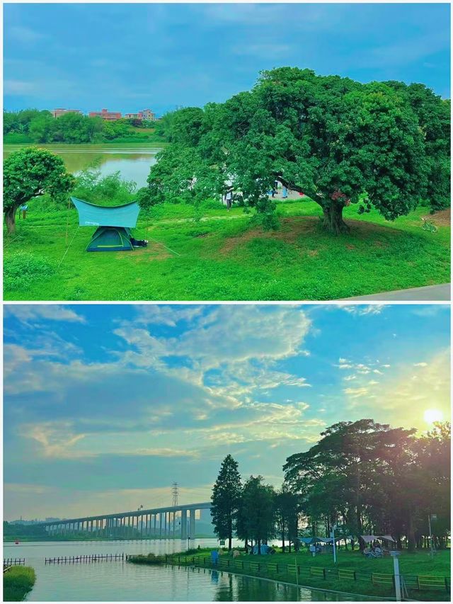 廣州周邊必去的15個露營地，出行必備攻略