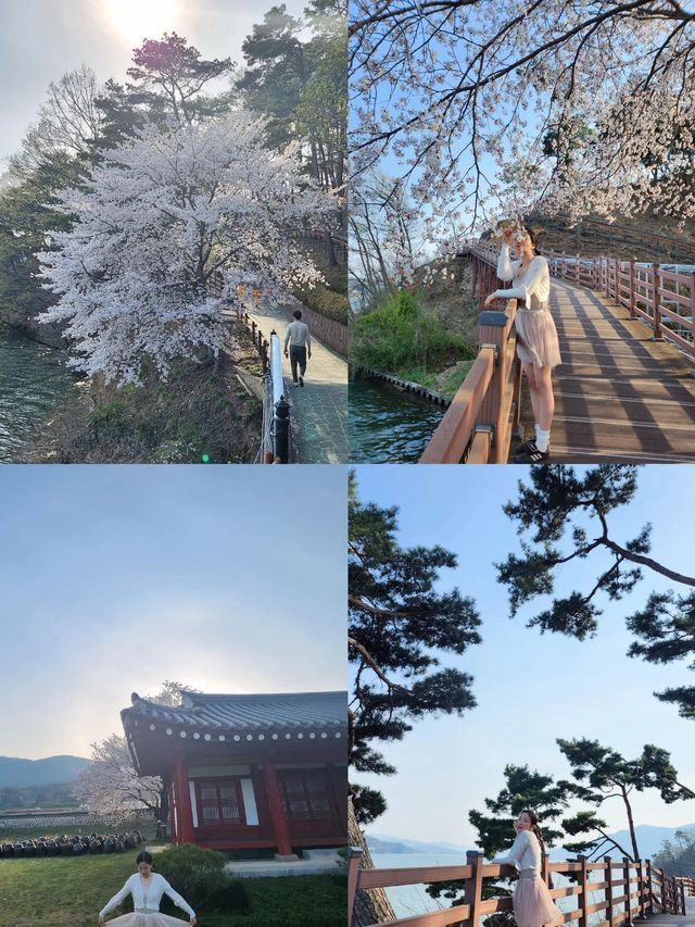 禮山郡：韓境謐境，探秘小眾之美