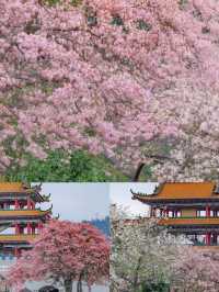 【東莞觀音山，祈福聖地之旅】