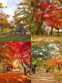 盛岡：日本東北的多元魅力之都
