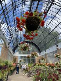 Discover Auckland's Domain Wintergardens: A Free Floral Escape