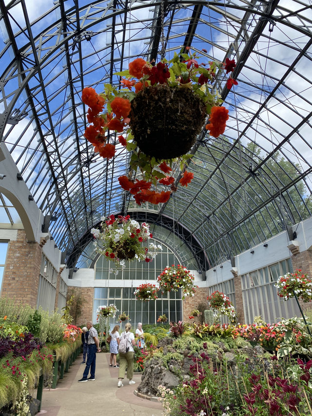 Discover Auckland's Domain Wintergardens: A Free Floral Escape