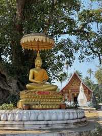Explore the Hidden Temples of Luang Prabang