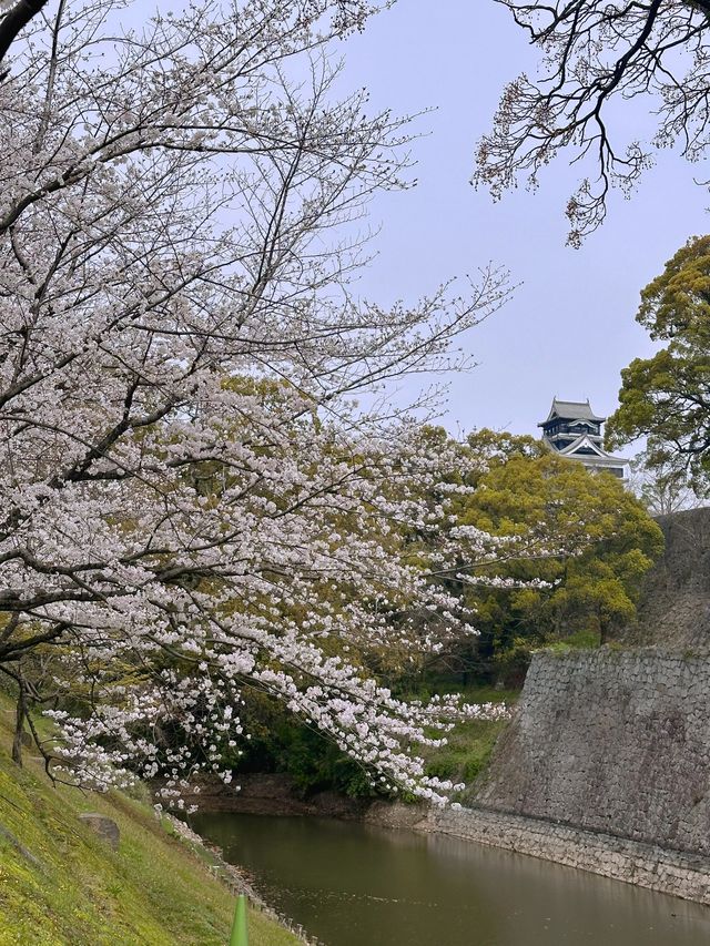 6日日本行 泡溫泉 給心情放個假