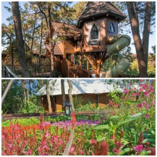 唔敢帶細路嚟！嚟咗就唔想走嘅森林魔法城堡