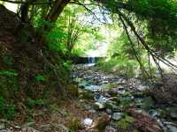 山之故里村露營地