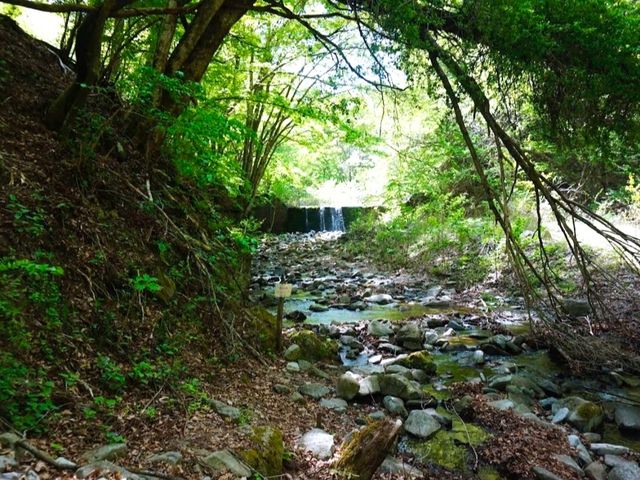 山之故里村露營地