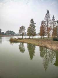休閒好去處青西郊野公園