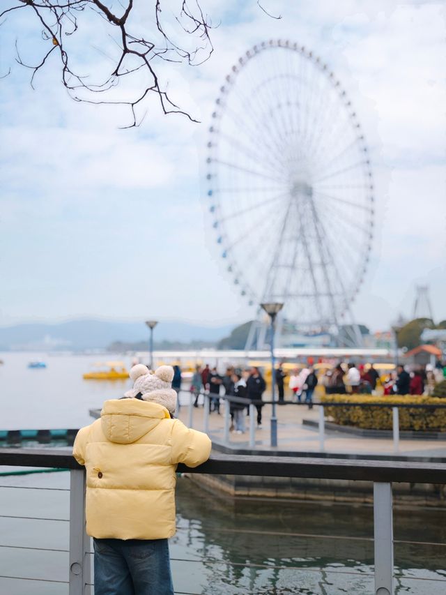 無錫親子遊‖蠡湖大橋餵海鷗水上摩天輪