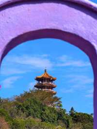 🏯 深圳的心靈淨土 - 弘法寺 🏯