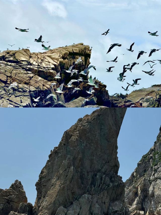 霞浦慢遊｜長者也能輕鬆享受的攻略