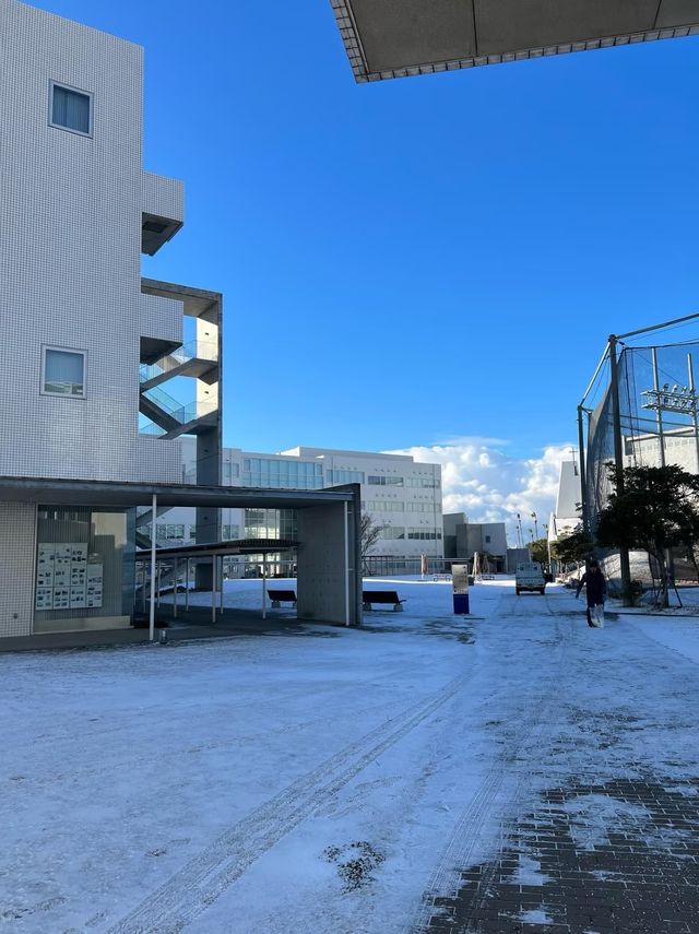 豐岡市漫遊指南 | 小眾卻超治癒的溫泉與海の鄉