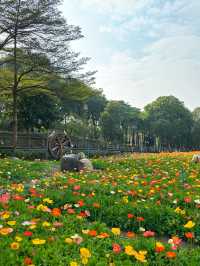 免門票，0元走進七彩莫奈花園～