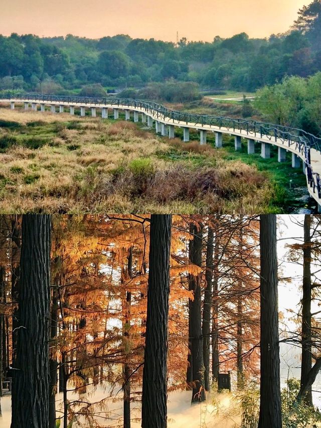 東湖生態旅遊風景區旅遊攻略