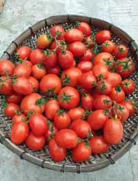 唔再內捲，去城市嘅自由撒野地