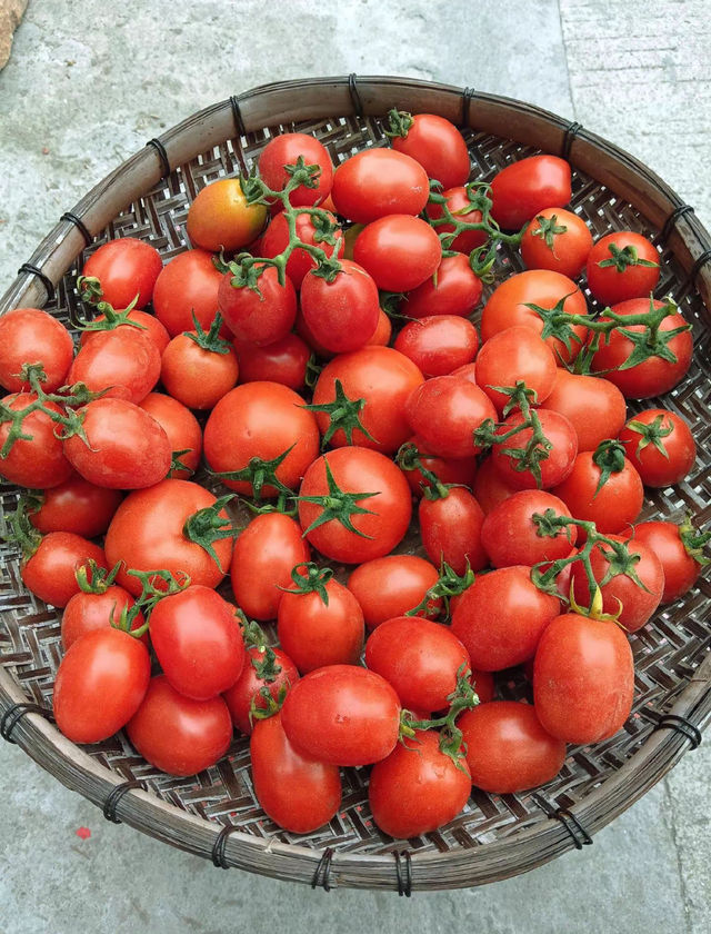 唔再內捲，去城市嘅自由撒野地