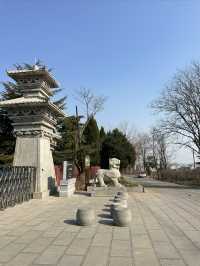 週末親子遊｜永城陳勝王陵，歷史與自然的完美結合