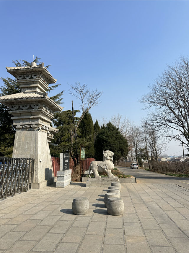 週末親子遊｜永城陳勝王陵，歷史與自然的完美結合