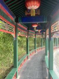 武漢園博園 | 自然與人文交織的城市綠洲  在武漢這座充滿活力的城市裡，武漢園博園宛如一顆璀璨的明珠