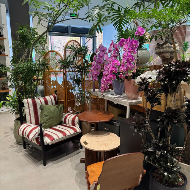 🌸深圳新發現！藏在街角的浪漫花漾咖啡屋🌸