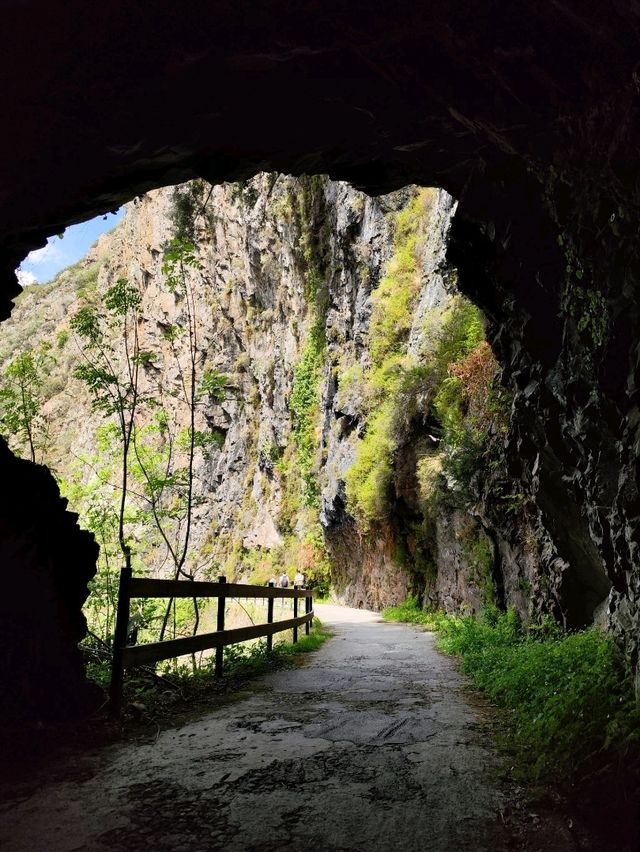 Senda del Oso: A Hidden Gem in Asturias 🌳🐻