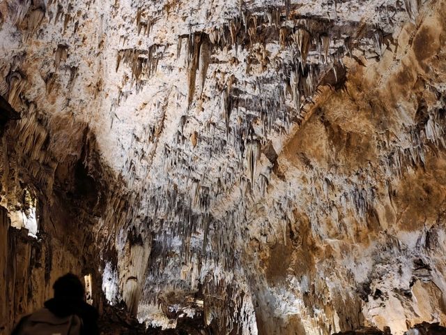 Exploring the Hidden Wonders of Valporquero Cave in León 🌟