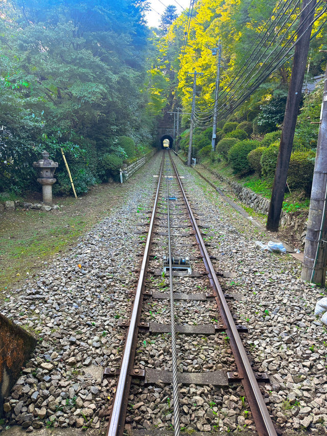 登山賞景，盡享自然之美！