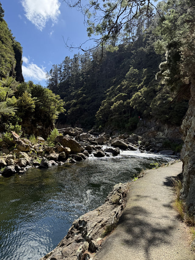A Historical Mining Site Reclaimed By Nature, A Fascinating Hike