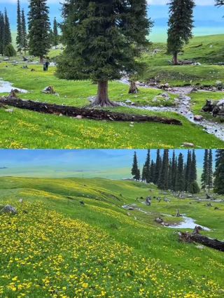 Yili, Xinjiang: March-May is not recommended, because...