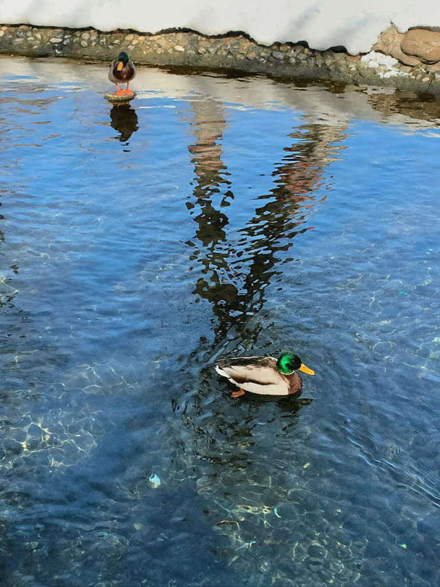 新疆冬日奇幻之旅：大巴扎與水磨溝的冰雪盛宴
