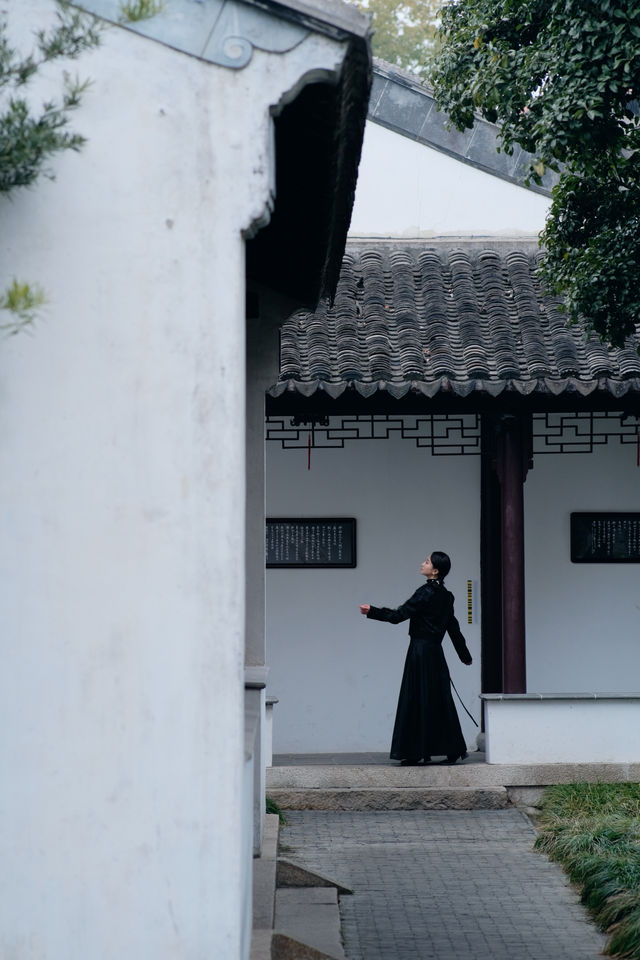 可園賞梅帶你尋找古典園林的浪漫