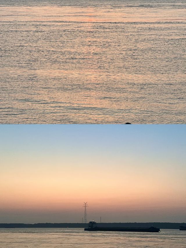 不出來聽一下歡快的聲音嗎？在南京的春天裡。