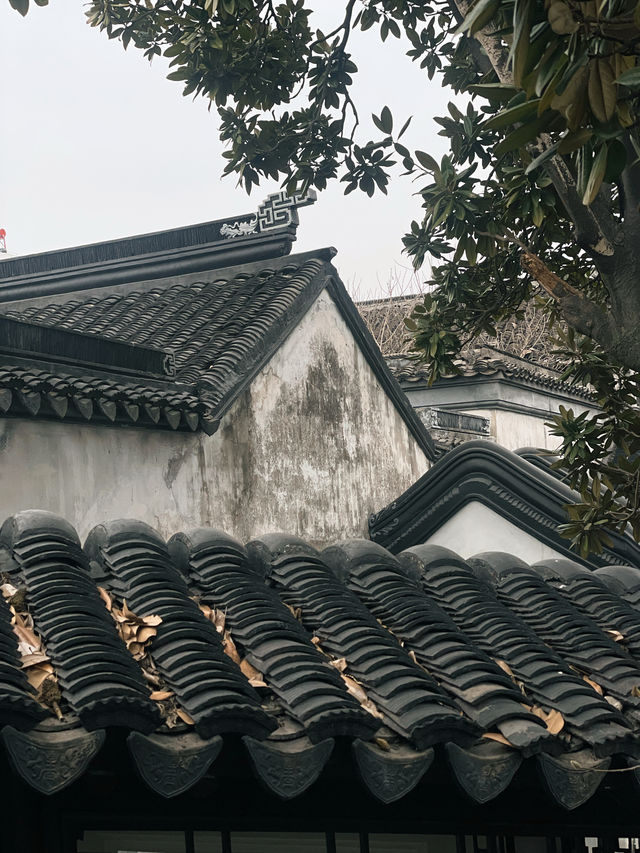 在楊絳鍾愛的園林裡  做一日江南夢